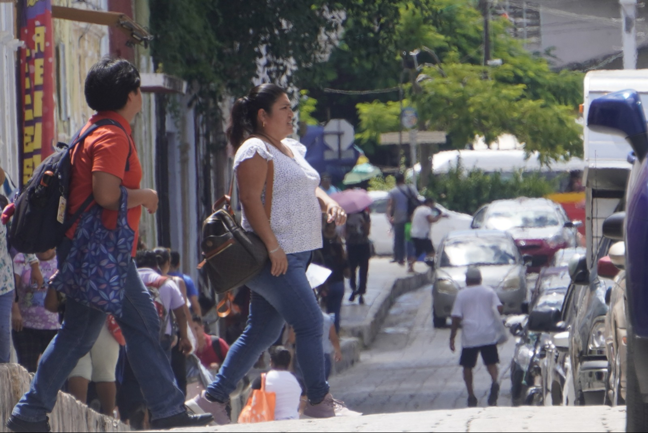 La organización realiza actividades culturales para fomentar el interés en el aprendizaje del francés