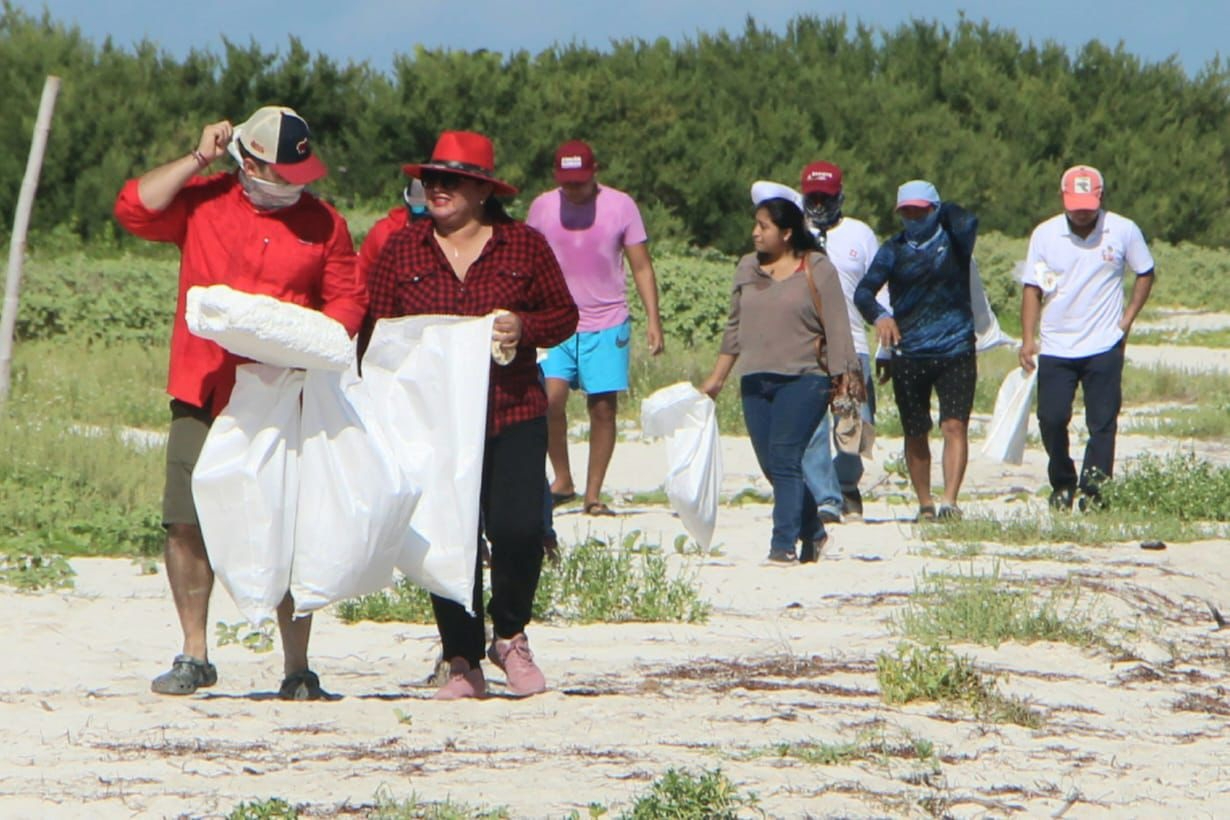 Los voluntarios contribuyeron al proyecto de limpieza de playas en el puerto