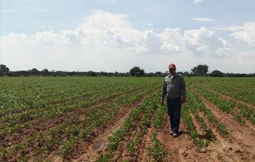 La Federación de Productores Agropecuarios señalan importancia de tecnificación del campo en Q. Roo