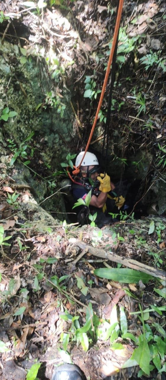 Con equipo de protección , el Cuerpo de Bomberos lograron rescatar a Fiona