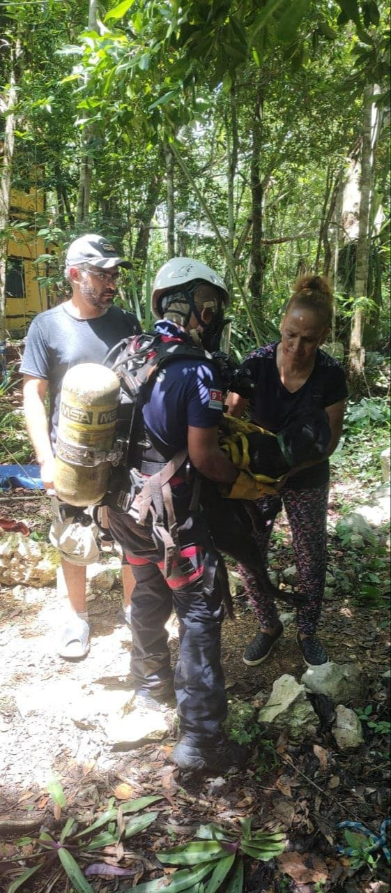 Cuerpo de Bomberos rescatan a perrita que cayó en un cenote en Tulum