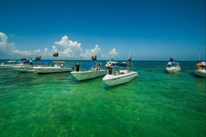 Buscan la reducción de lanchas por la baja demanda del tiburón ballena en Isla Mujeres