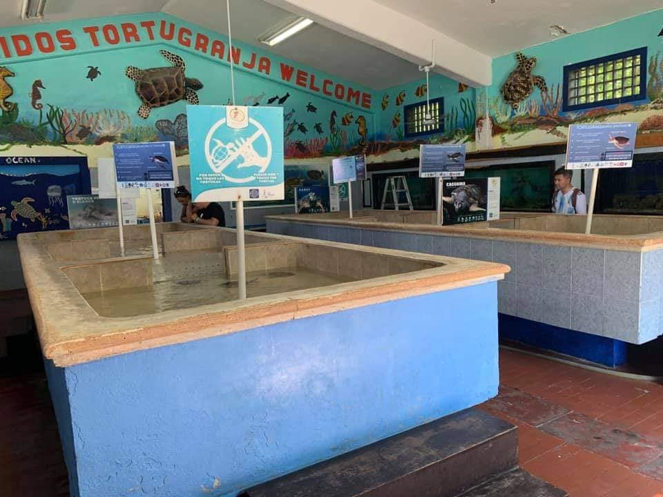 La reapertura de la Tortugranja, un atractivo turístico, no se concretó