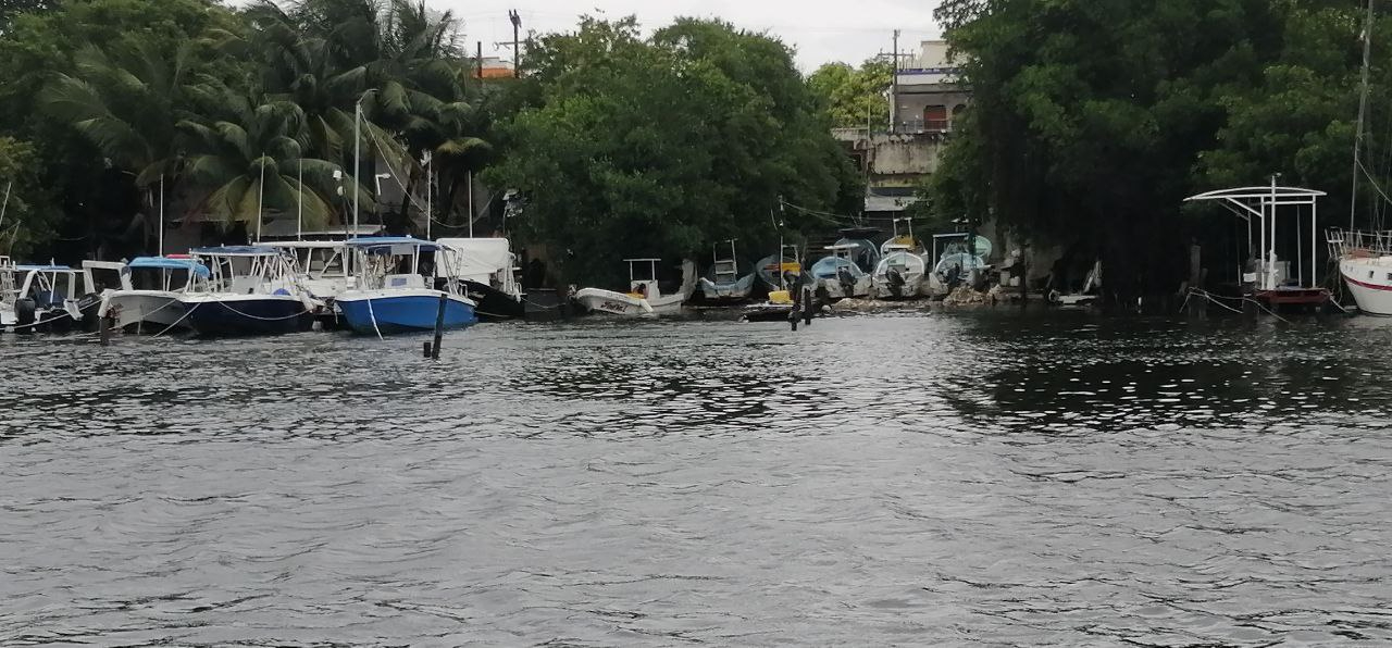 Tampoco se promovieron acciones para la protección de los recursos naturales de la isla