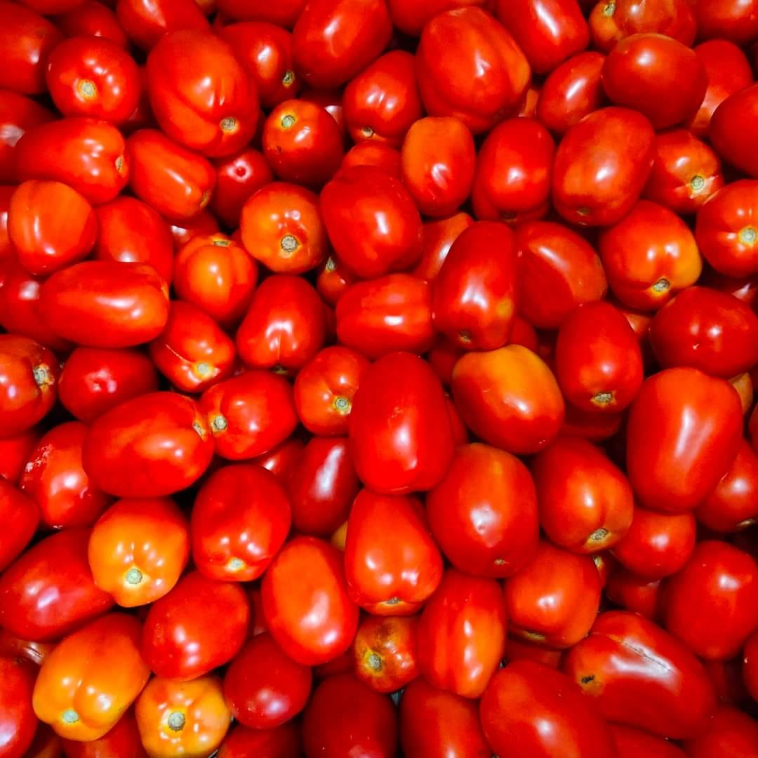 Algunos comerciantes afirmaron que el valor del tomate ha pasado de 20 a 40 pesos y el epazote ha subido casi el 100% de su valor