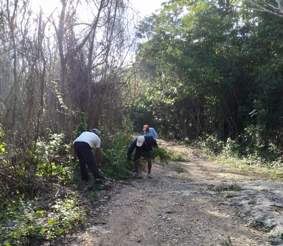 Los habitantes de Tunich Há trabajan para evitar que el fuego alcance sus tierras.