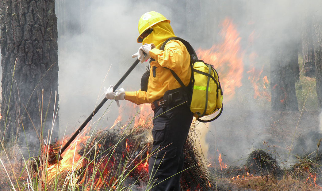 Más de 27 mil hectáreas han sido siniestradas por 30 incendios forestales