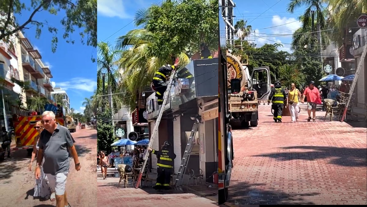 Bomberos arribaron al lugar