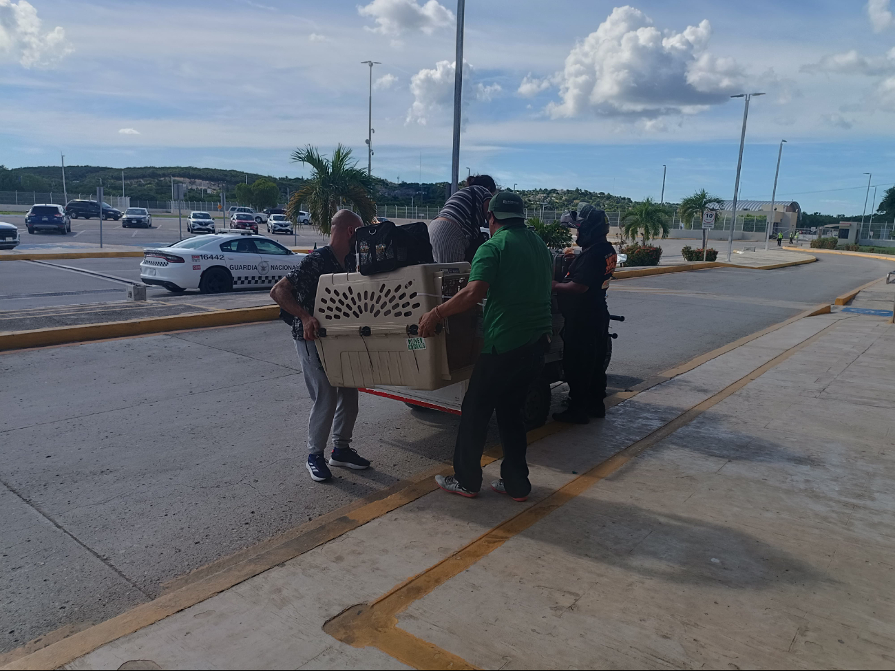 La llegada de los "amigos de cuatro patas" generó empatía y ayuda de los presentes en el aeropuerto