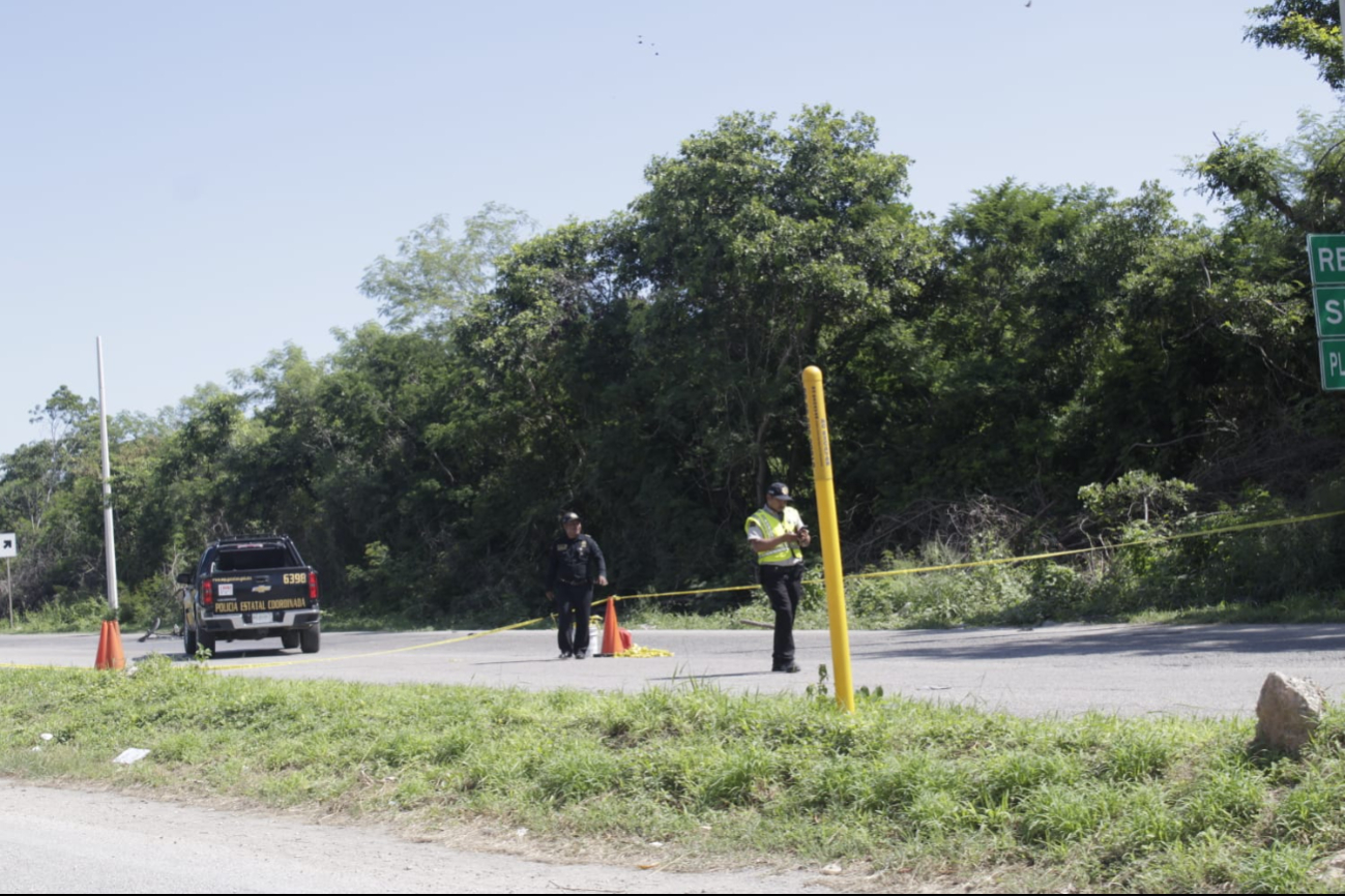 La víctima perdió la vida tras ser atropellado por un conductor