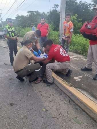 El conductor aparentemente se quedó dormido al volante, causando que el vehículo volcara