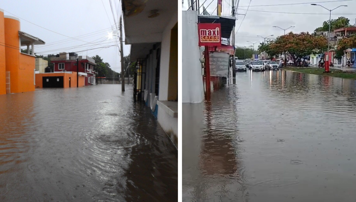 Flor de Limón y Concordia