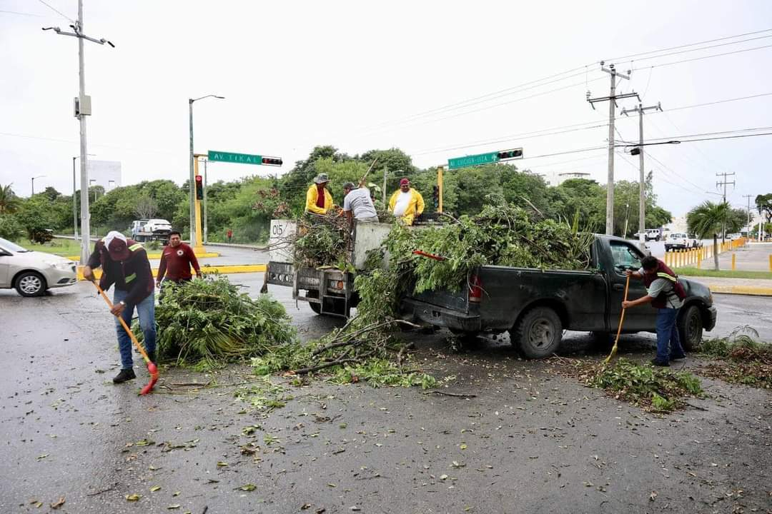 Se retiraron ramas de árboles para evitar deshechos en las calles