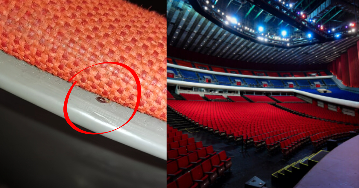 ¿Hay plaga de chinches en el Auditorio Nacional?, video de Tiktok revela la verdad