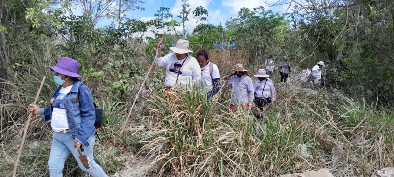 Colectivos de búsqueda realizan labores para encontrar a los desaparecidos