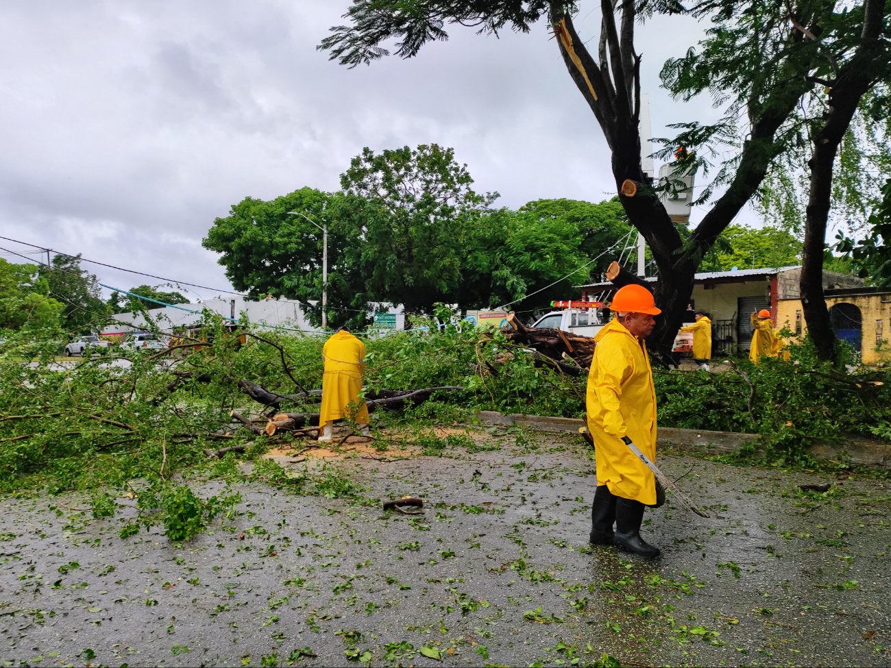 Huracán Helene causó estragos en la Zona Norte de Quintana Roo