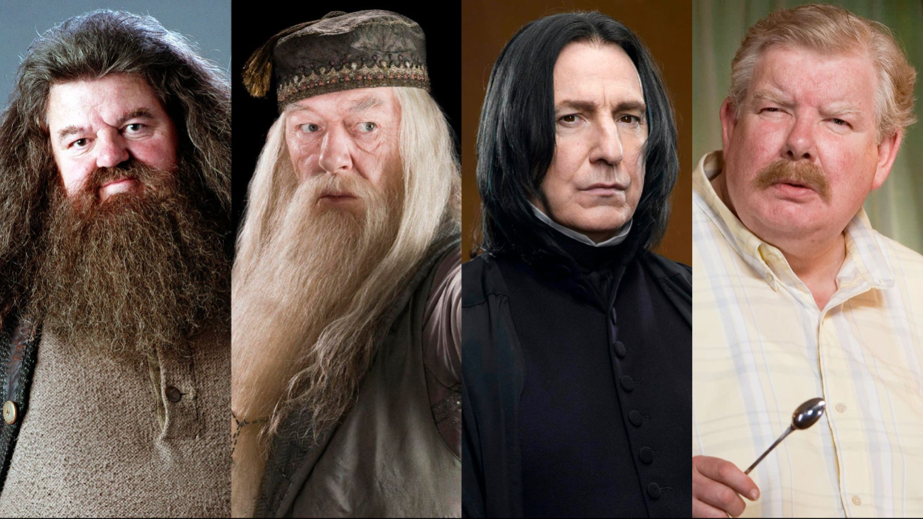 El elenco eterno de Harry Potter.