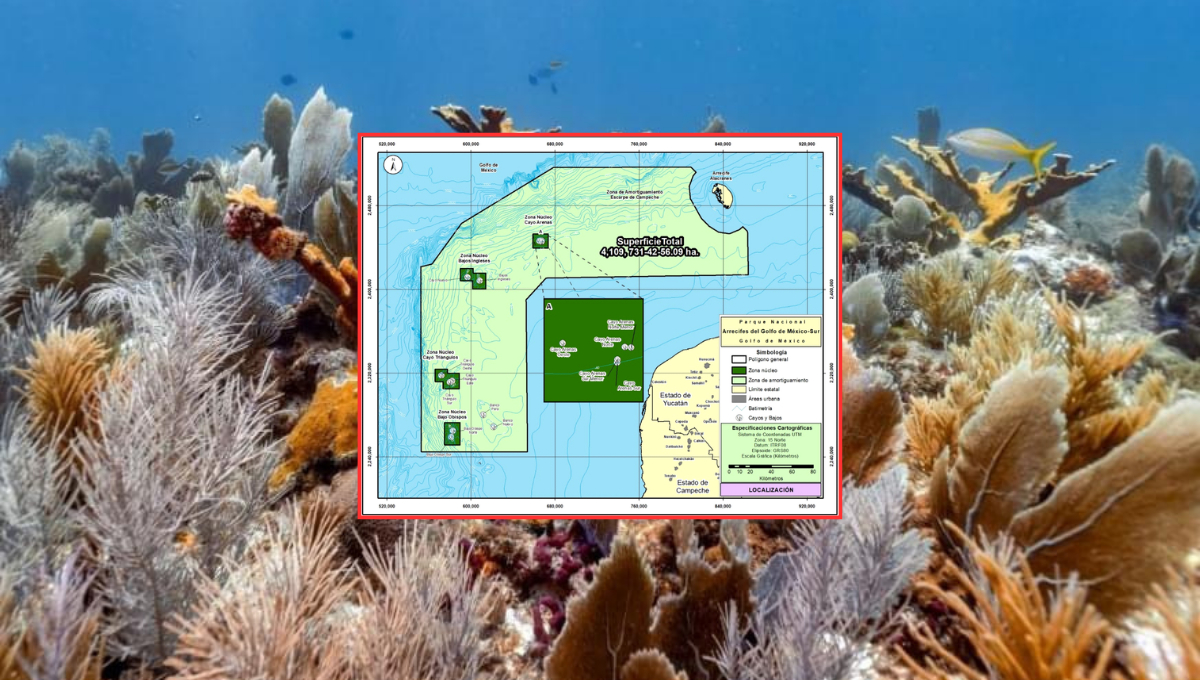 La reserva abarca más de 4,109,731.42 hectáreas y protege 3,097 especies marinas