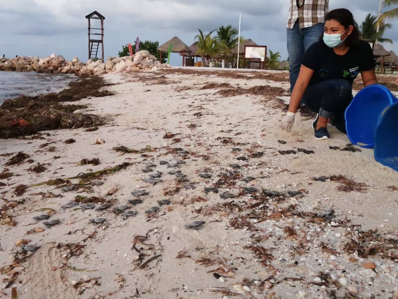 La Reserva Estatal “El Palmar” y Playa Bonita también son importantes para la liberación de tortugas