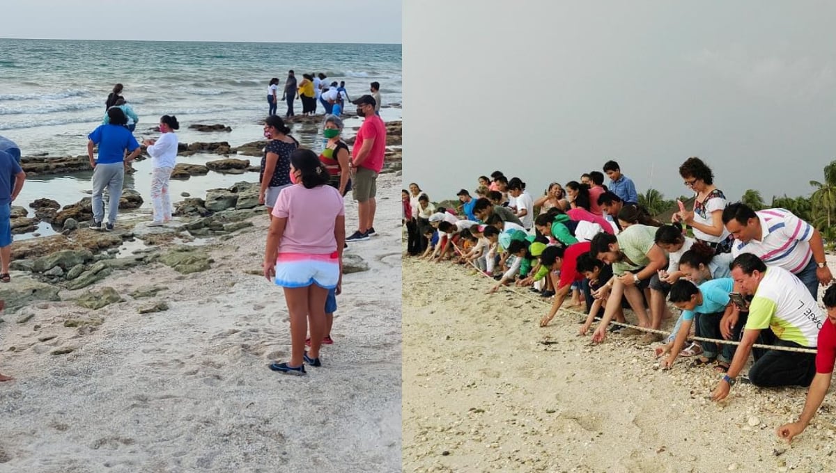 Punta Xen y Chenkán son ideales para observar y participar en la liberación de tortugas carey