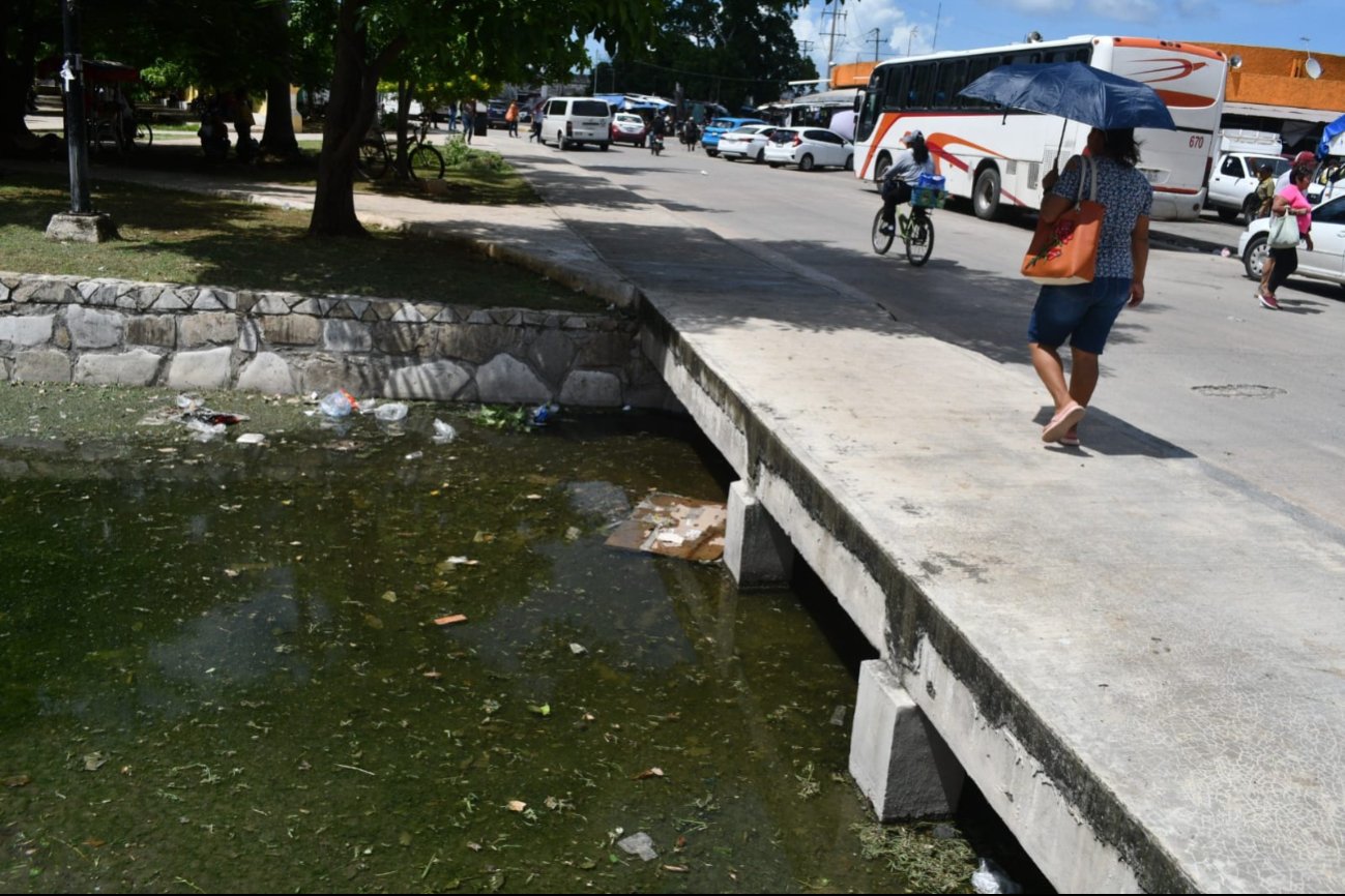 Se han acumulado 582 casos de dengue en todo el estado, cinco más que la semana pasada