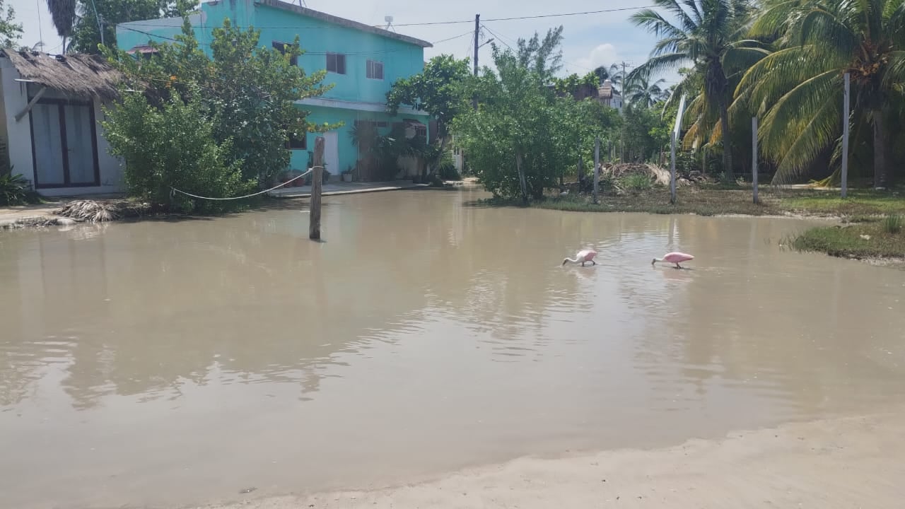 Familias de Holbox sufren estragos tras el paso del huracán “Helene”