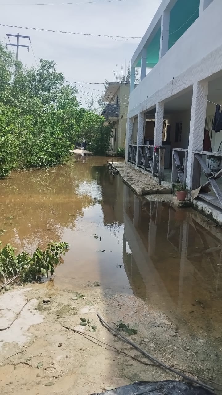 Las aguas llegaron hasta los patios de vecinos