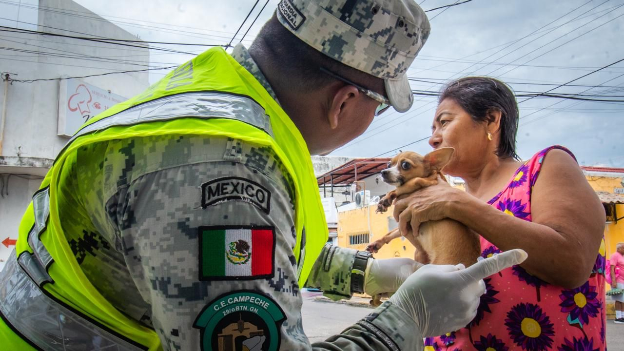 Por caso de rabia registrado en Campeche, refuerzan vacunación