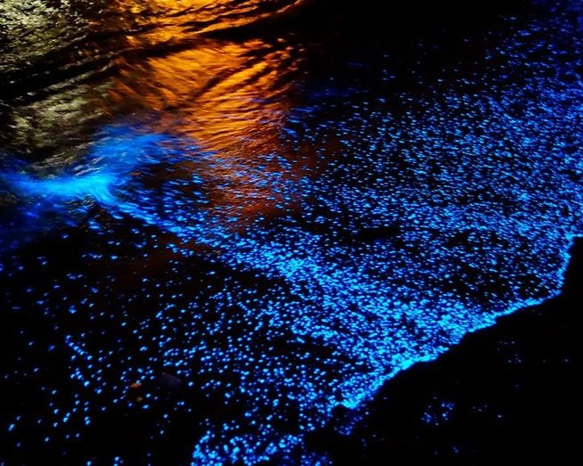 Durante la noche las playas se iluminan