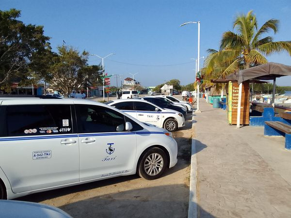 Sindicato de taxistas en Tulum persisten en la inocencia de su líder 