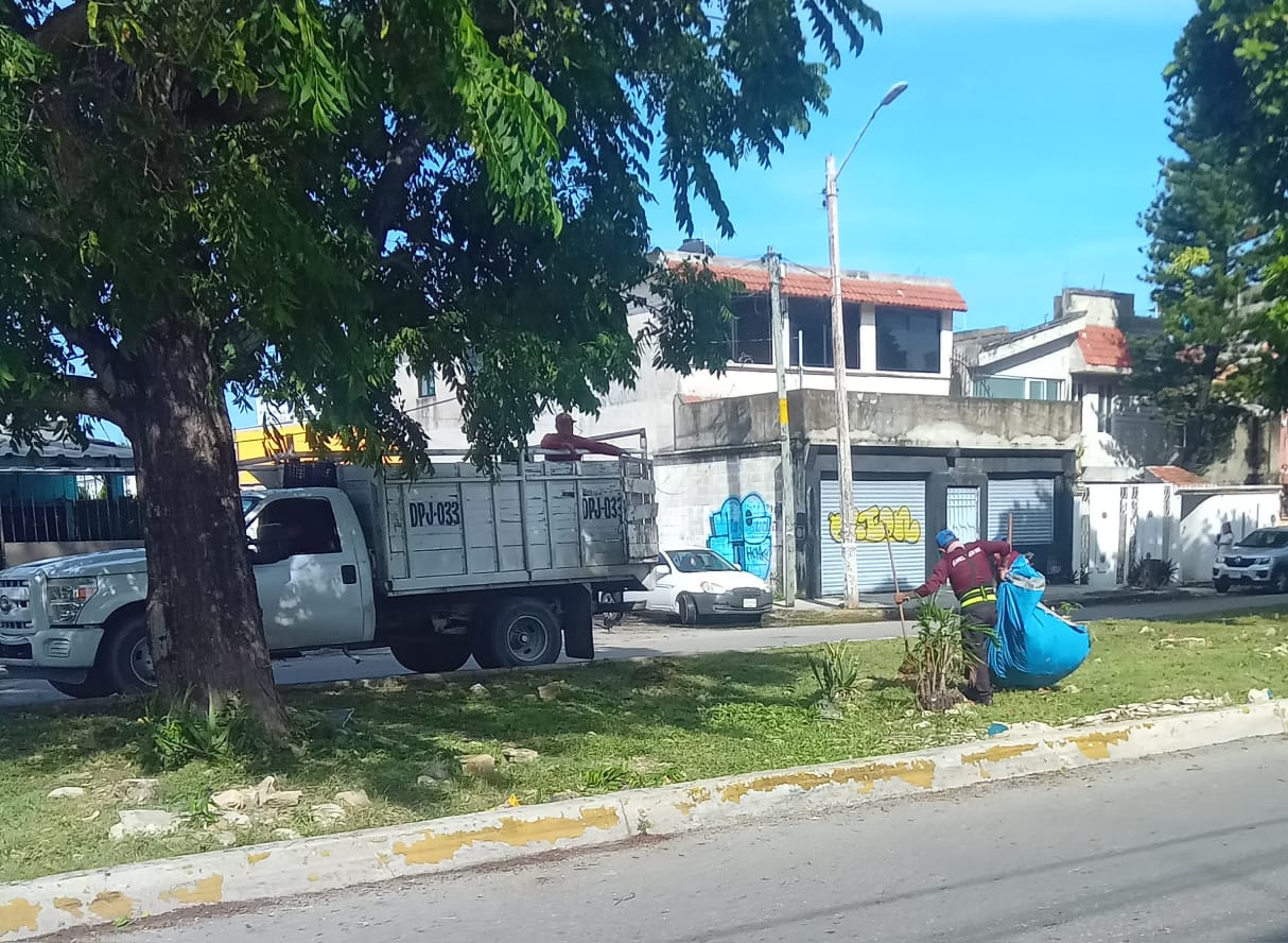 Brigadas de limpieza siguen laborando después del huracán Helene