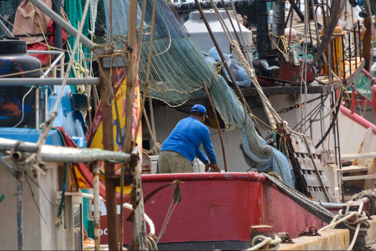 Debido a la temporada baja, los pescadores deben de bajar sus precios