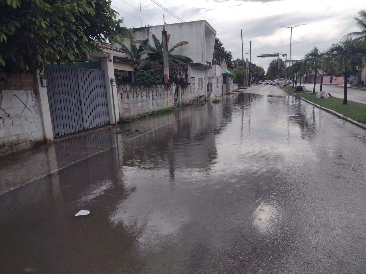 Debido a la obstrucción de coladeras, las inundaciones ingresan a las viviendas