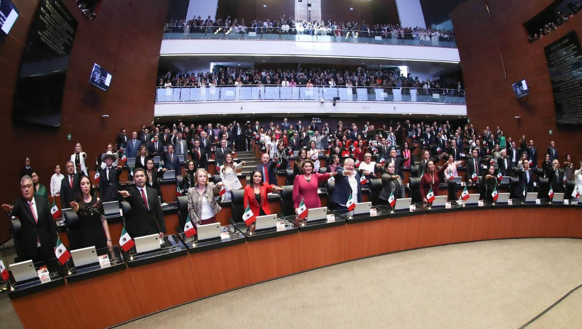 La Cámara de Senadores prevé votar la Reforma Judicial el próximo miércoles