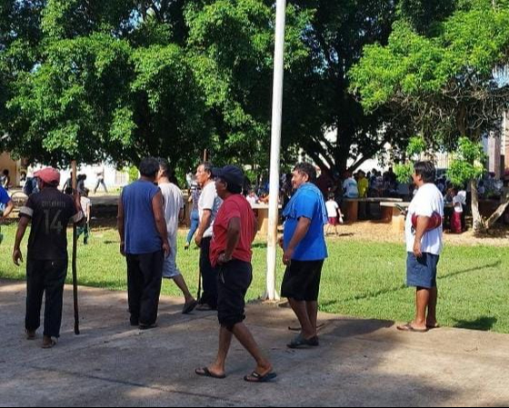 Productores del programa "Sembrando Vida" trasplantaron más de 100 plantas de cedro y caoba en áreas verdes de la ciudad y en la escuela primaria "Agustín Melgar