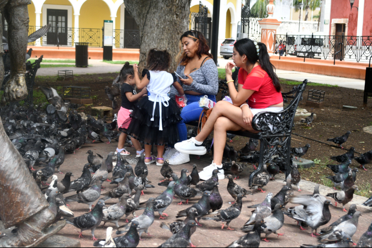 Denuncian raquiticas pensiones alimenticias en Campeche 