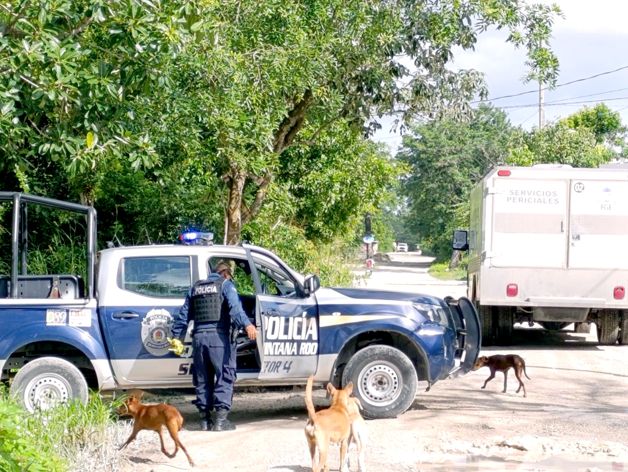 El cuerpo se localizó durante un operativo en un área verde de la colonia El Porvenir