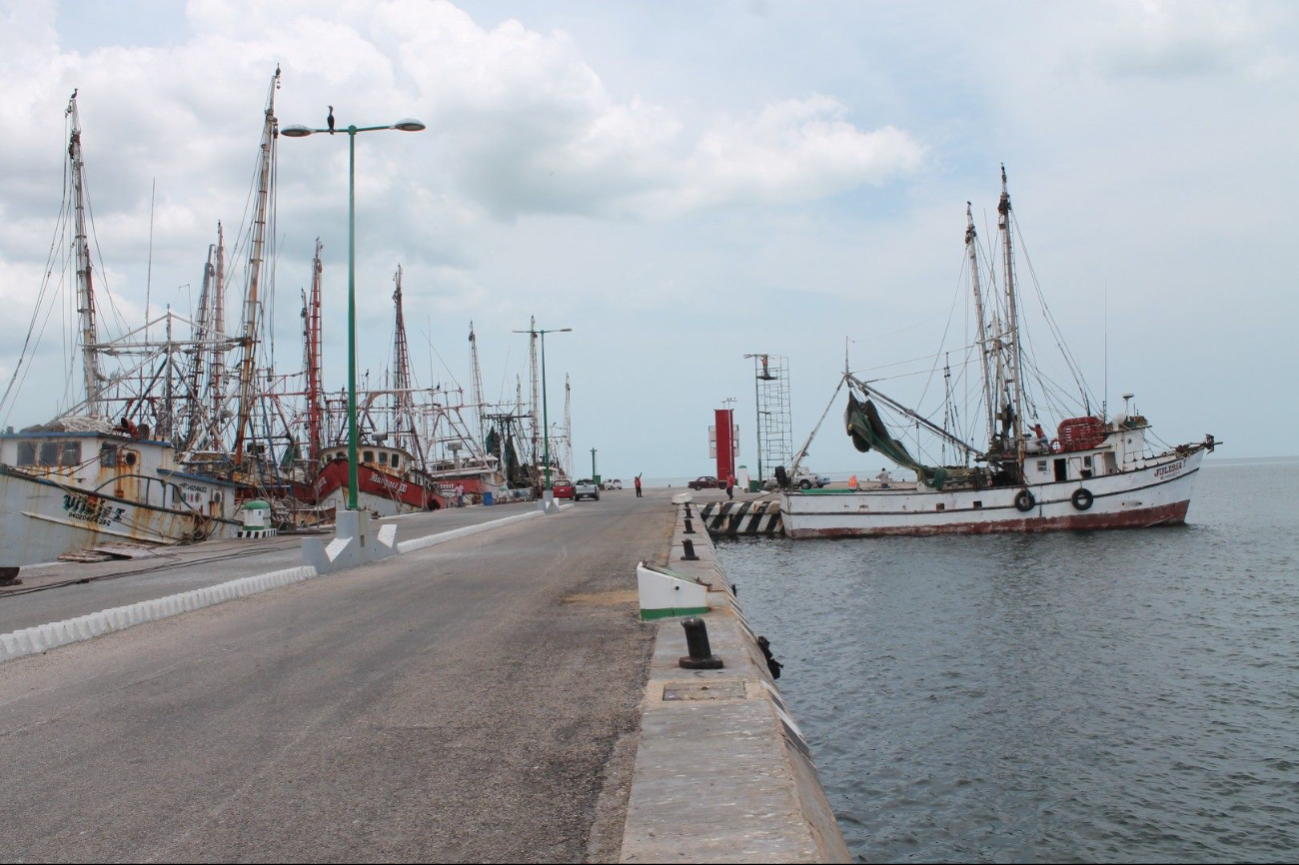 Alto costo del diésel marino afecta al sector camaronero en Campeche