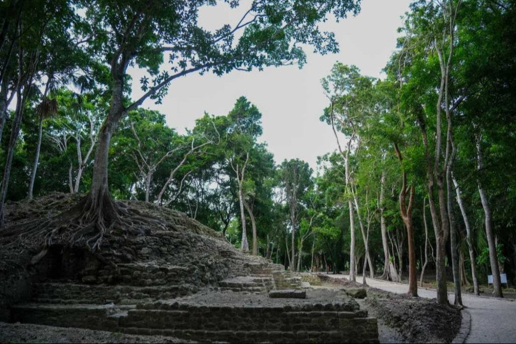 Abre zona arqueológica de Ichkabal / Especial