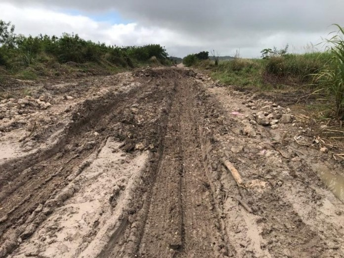 Caminos en condiciones indignas dificultan el trabajo de cosecha de productores en Chetumal.