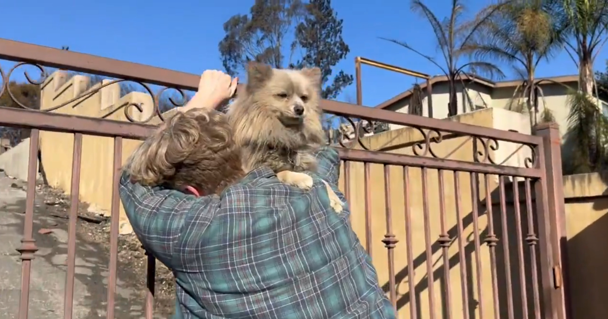 El emotivo reencuentro de Oreo con su dueño