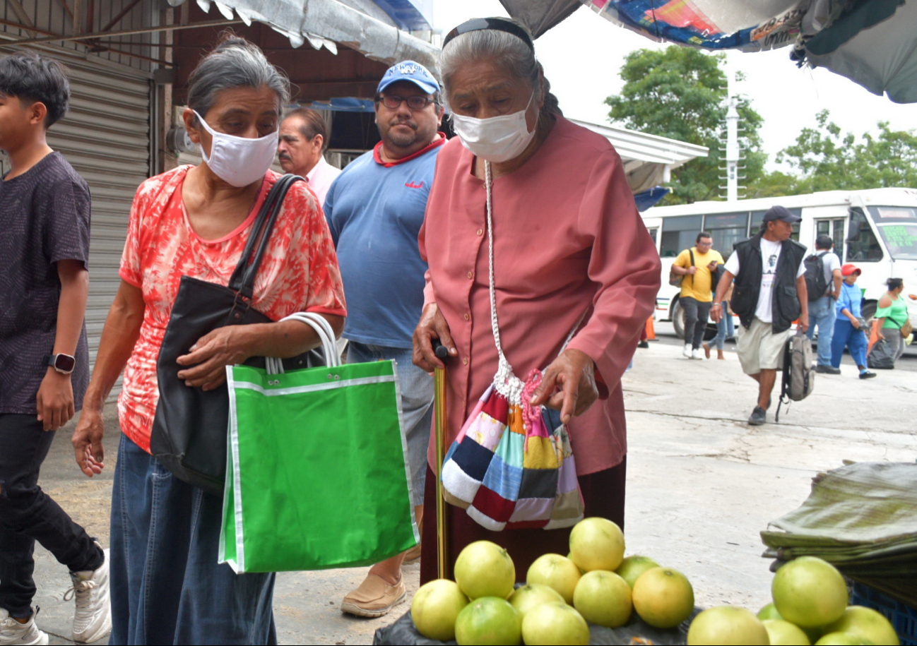 Confirman casos de Metapneumovirus en Campeche; menores  de cinco años el grupo más vulnerable