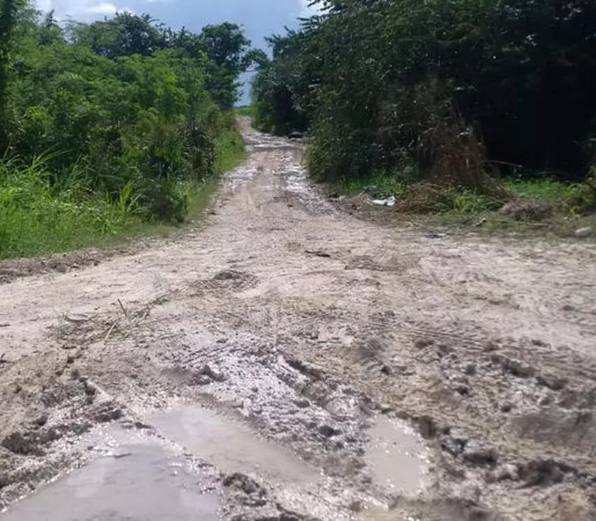 Los productores pueden verse afectados económicamente debido al estado actual de los caminos.