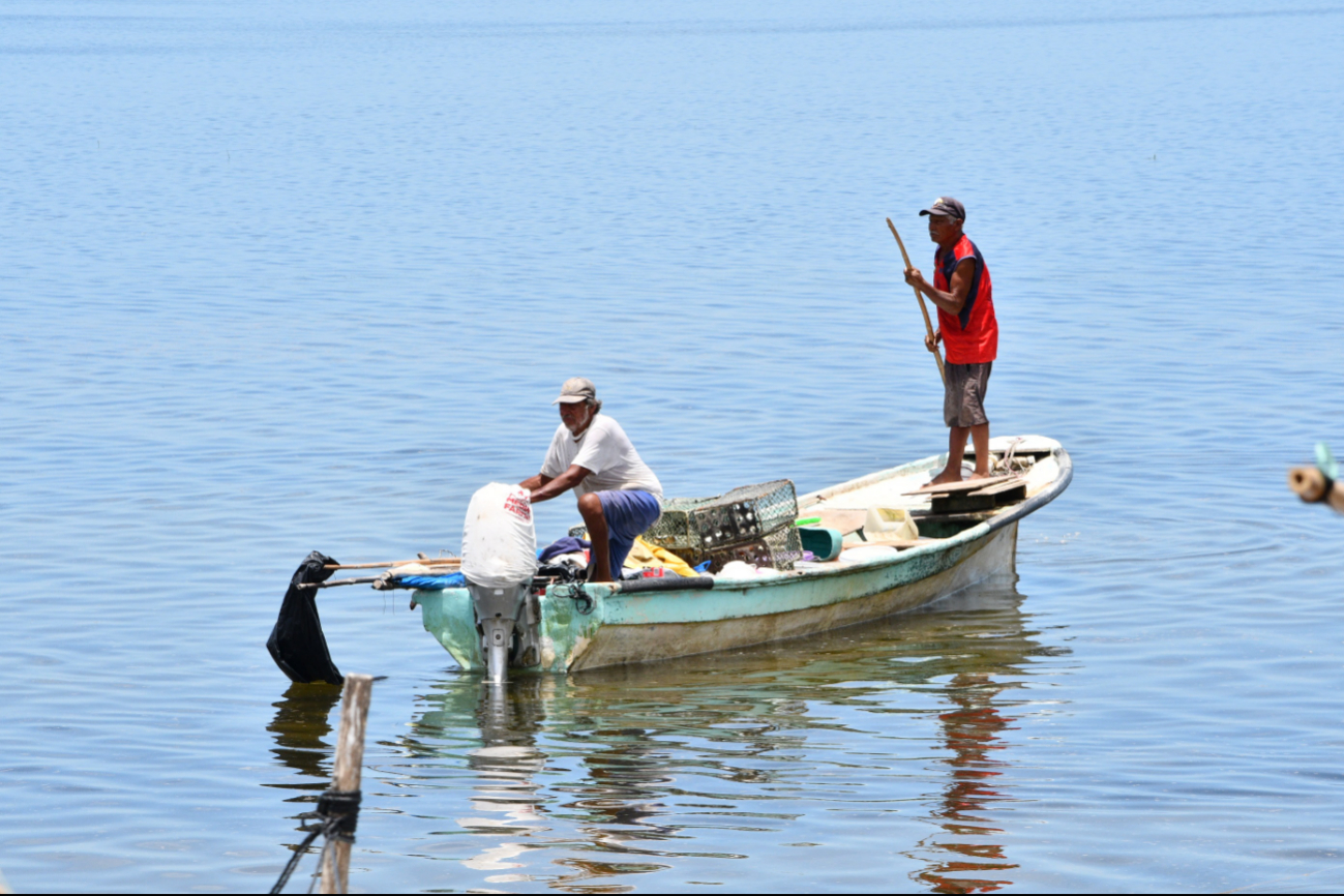 Se consideran acciones para las especies comerciales importantes para Campeche