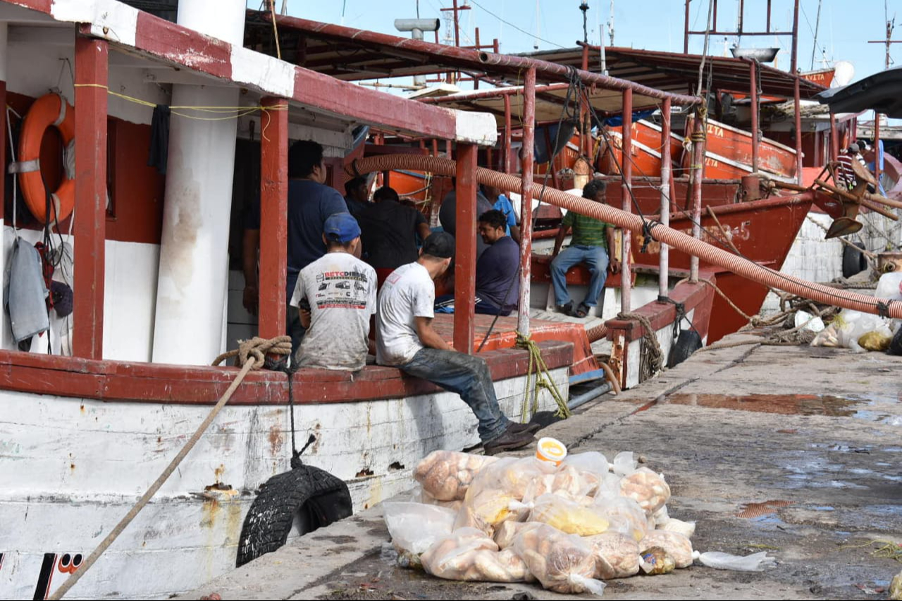 Detectan la descarga furtiva de especies marinas en puntos muertos durante la temporada de veda