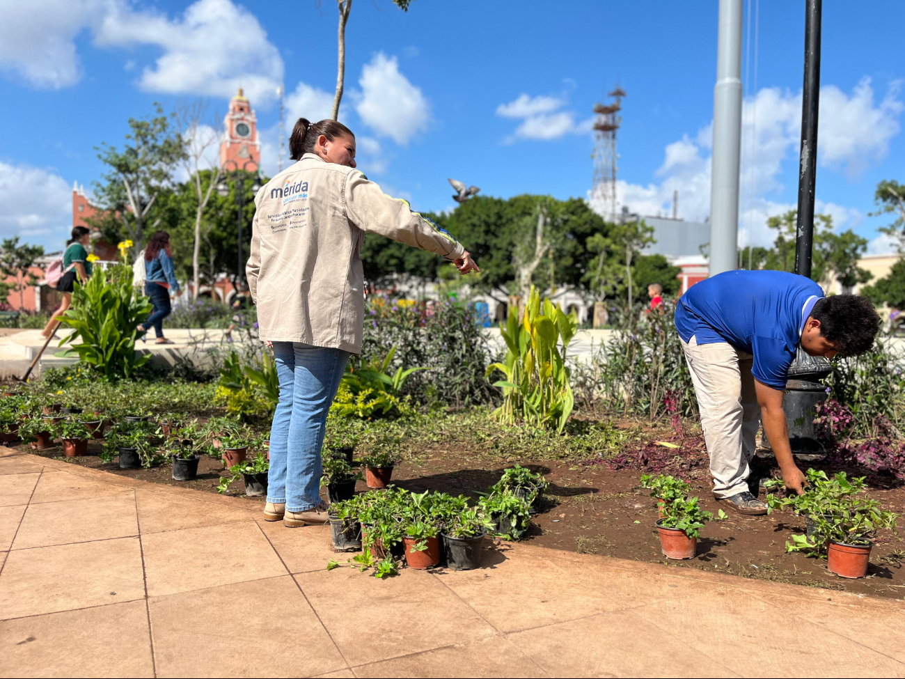 Personal de Servicios Públicos del Ayuntamiento de Mérida, trabajará a marchas forzadas este lunes para lograr culminar los trabajos hoy mismo