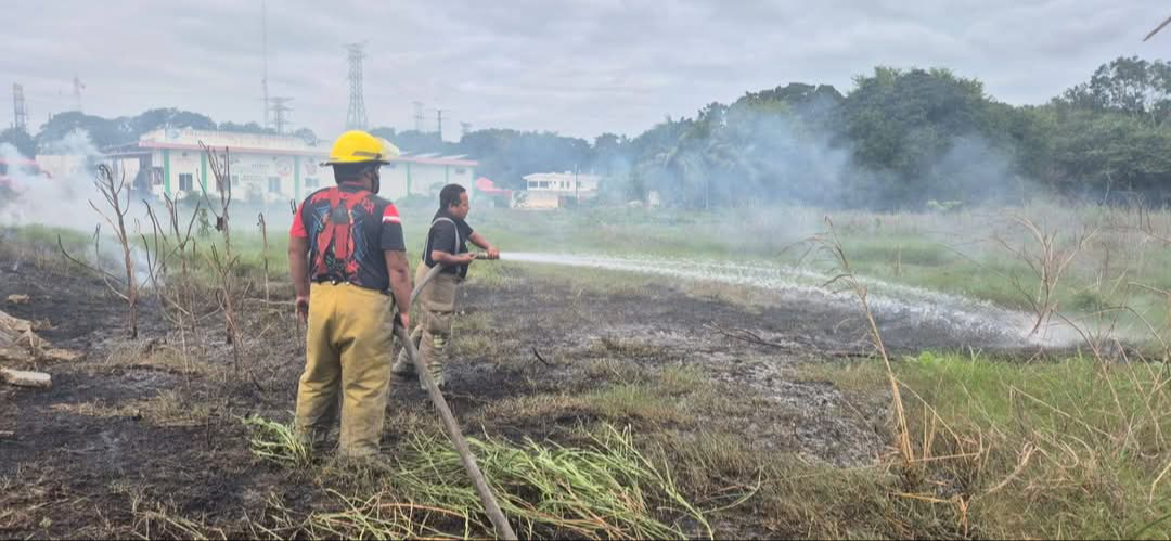 Protección Civil y Bomberos retiraron un árbol peligroso y sofocaron un incendio de maleza