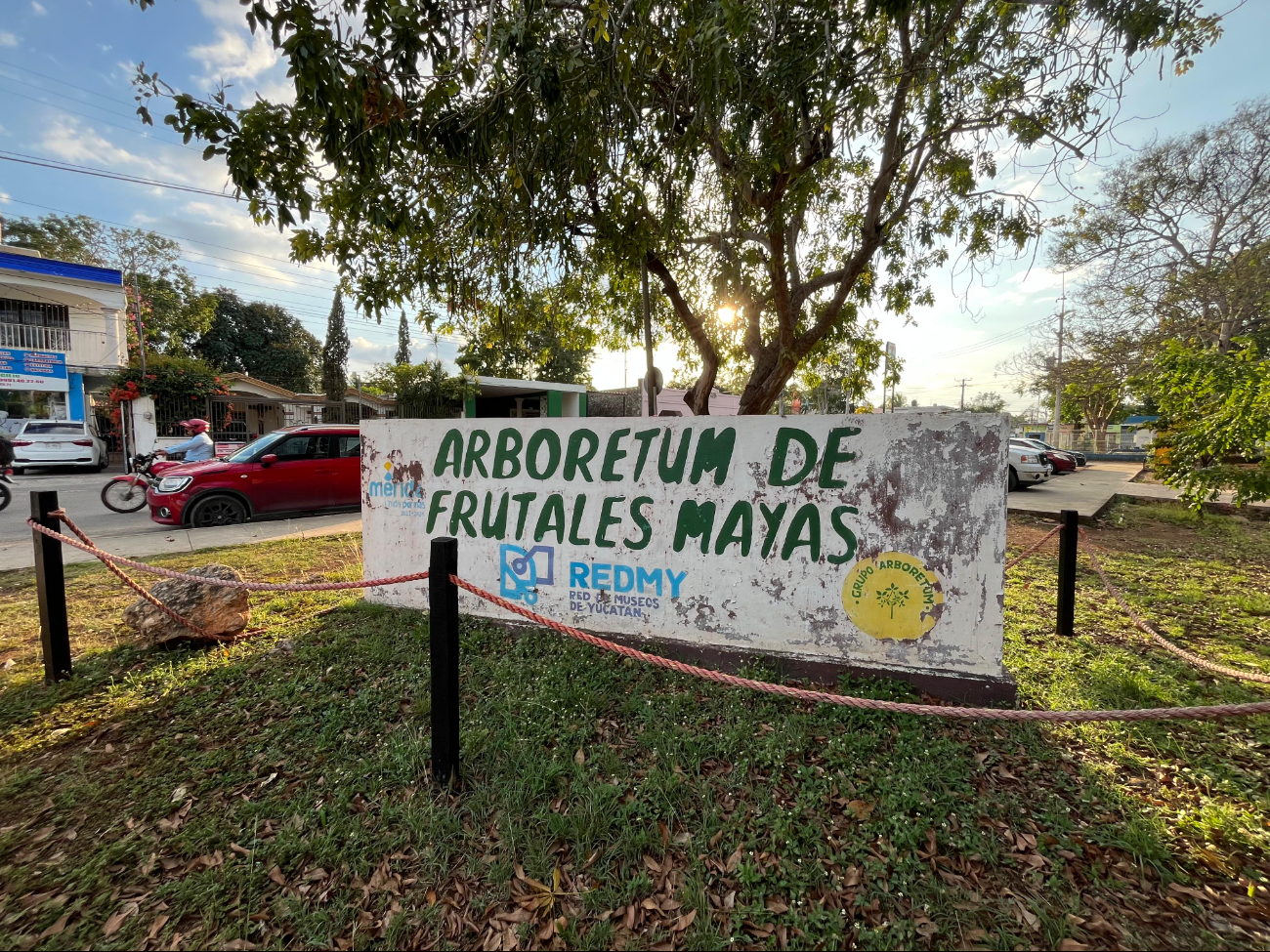 Mérida: Arboretum, el lugar con árboles frutales mayas poco valorado  