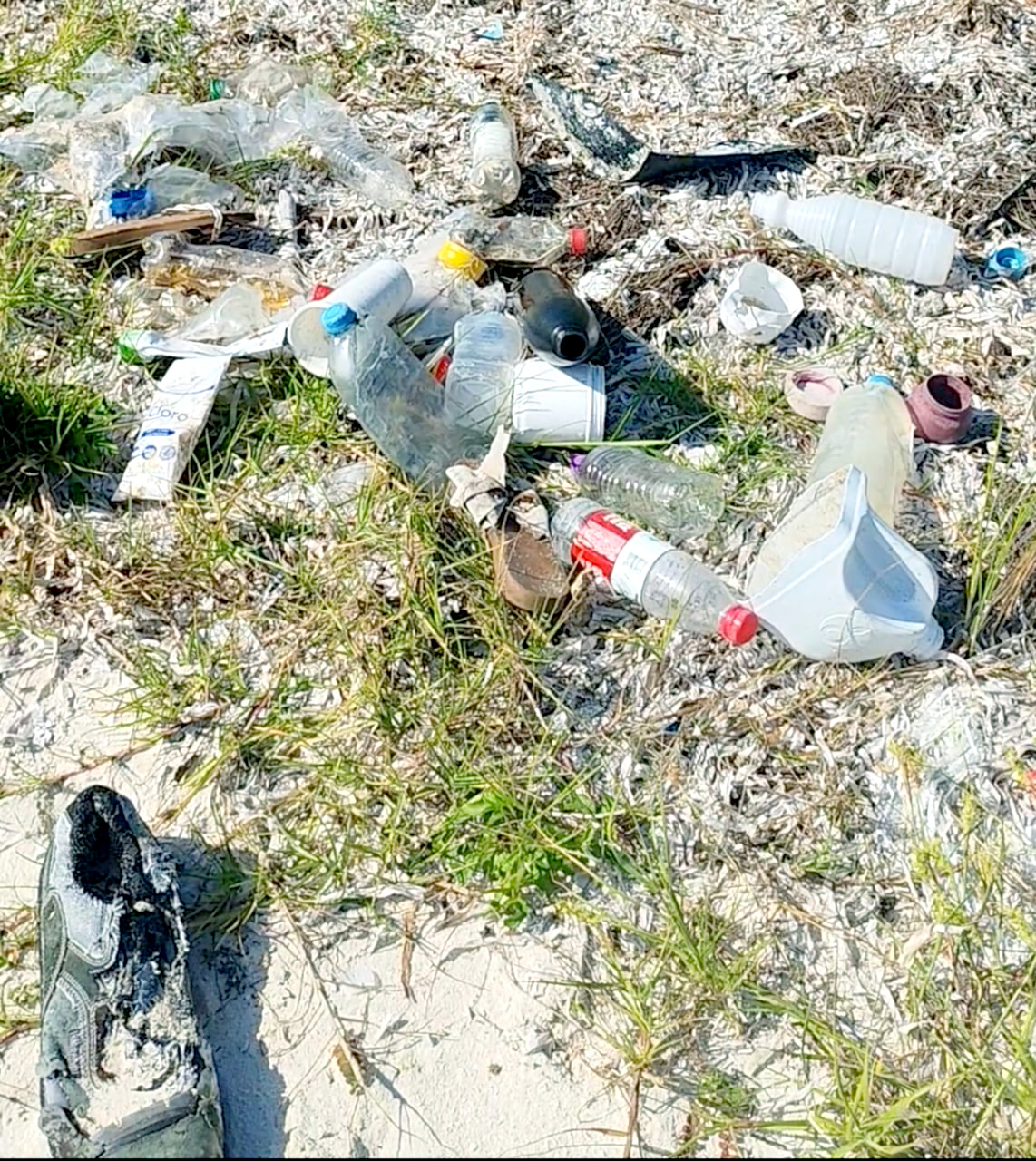 Exhortan a la  ciudadanía a colocar  la basura en los  contenedores que  están instalados en  los accesos del arenal