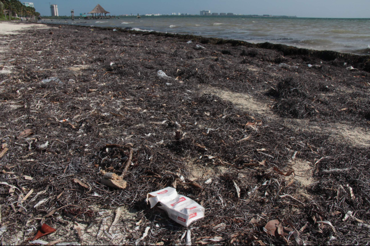 Playa Coral de Cancún en riesgo al convertirse en basurero